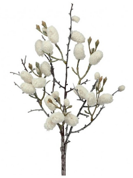 Wild Cotton Spray, Cream