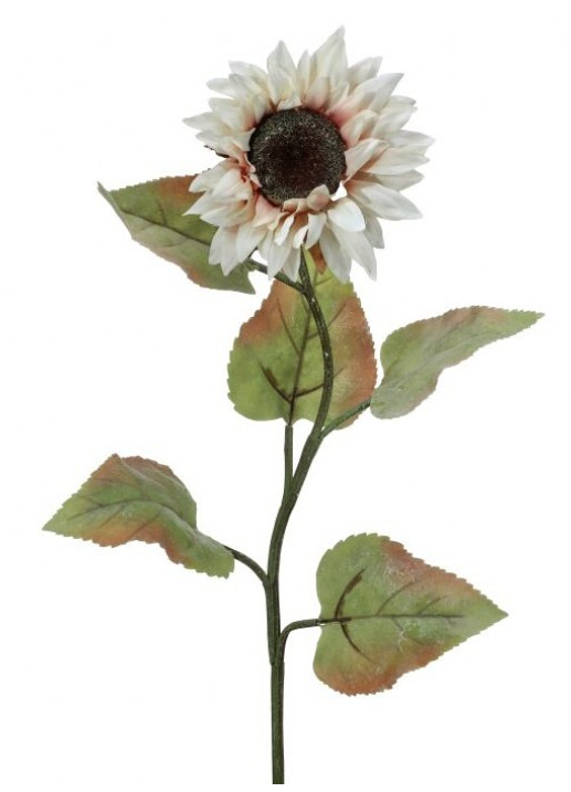 Autumn Sunflower Stem, Cream