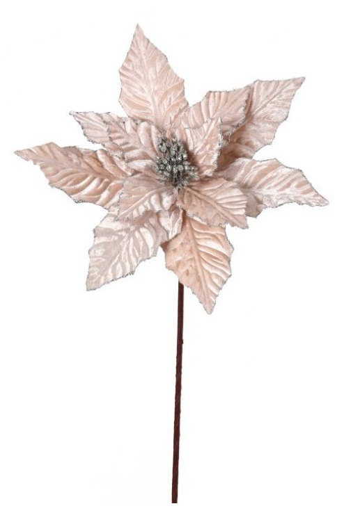 Glitter Edge Velvet Poinsettia, Champagne