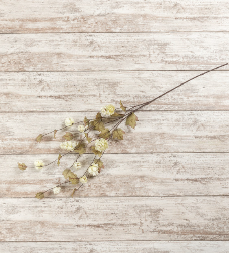 Cream Hops Stem, 39"