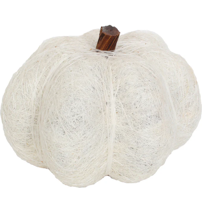 6" Dried Pumpkin, 2 colors