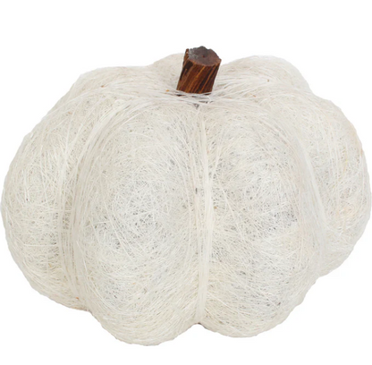 6" Dried Pumpkin, 2 colors
