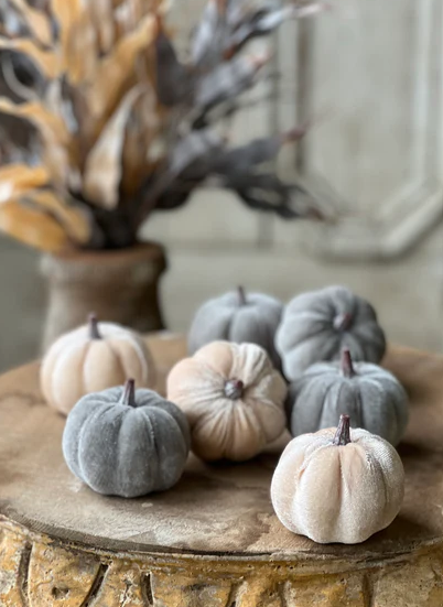 Velveteen Pumpkins, 2 colors