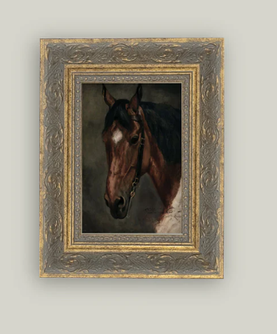 Horse Portrait