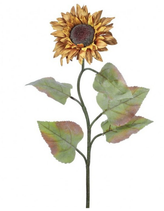 Autumn Sunflower Stem, Golden