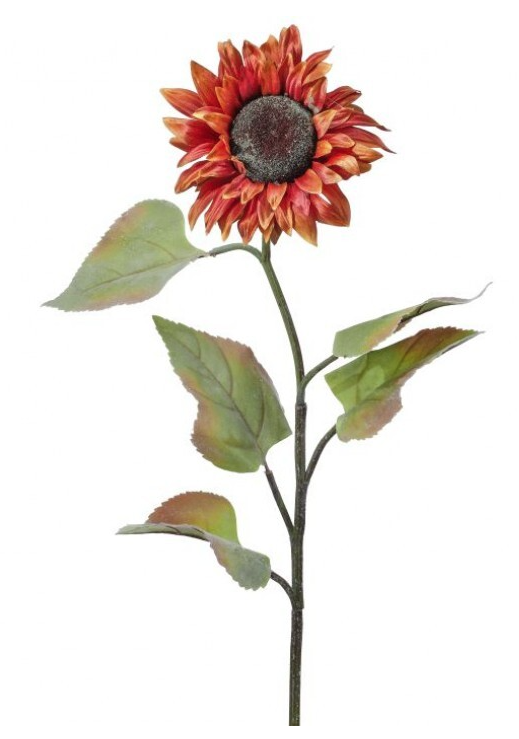 Autumn Sunflower Stem, Nutmeg