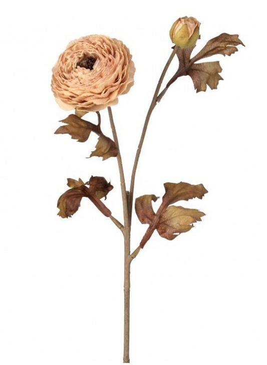 Autumn Ranunculus Stem, Taupe