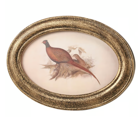 Pheasant Framed Art