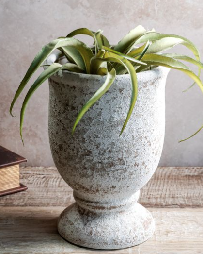 Fallon White Washed Ceramic Vase