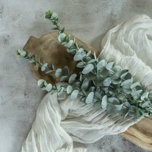 Spiral Eucalyptus Spray, 31"