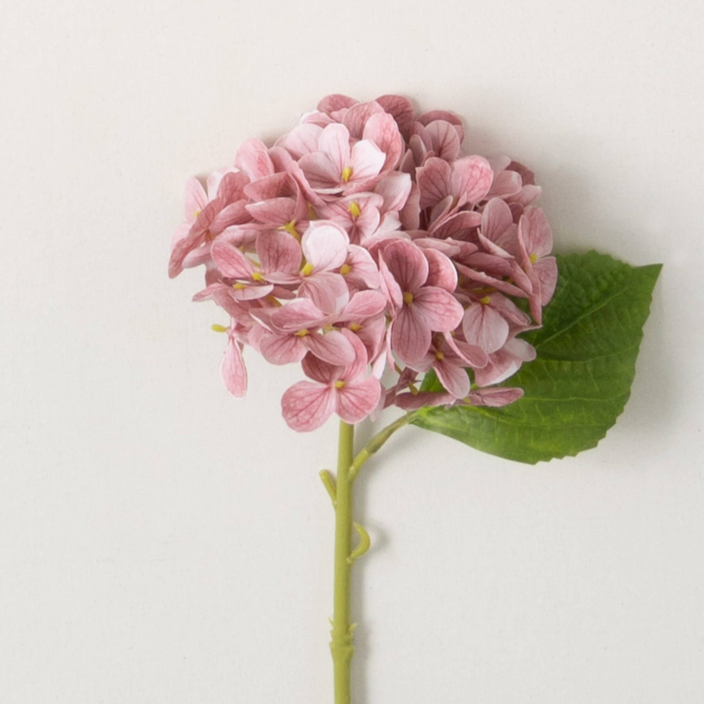 Dark Pink Short Hydrangea Stem