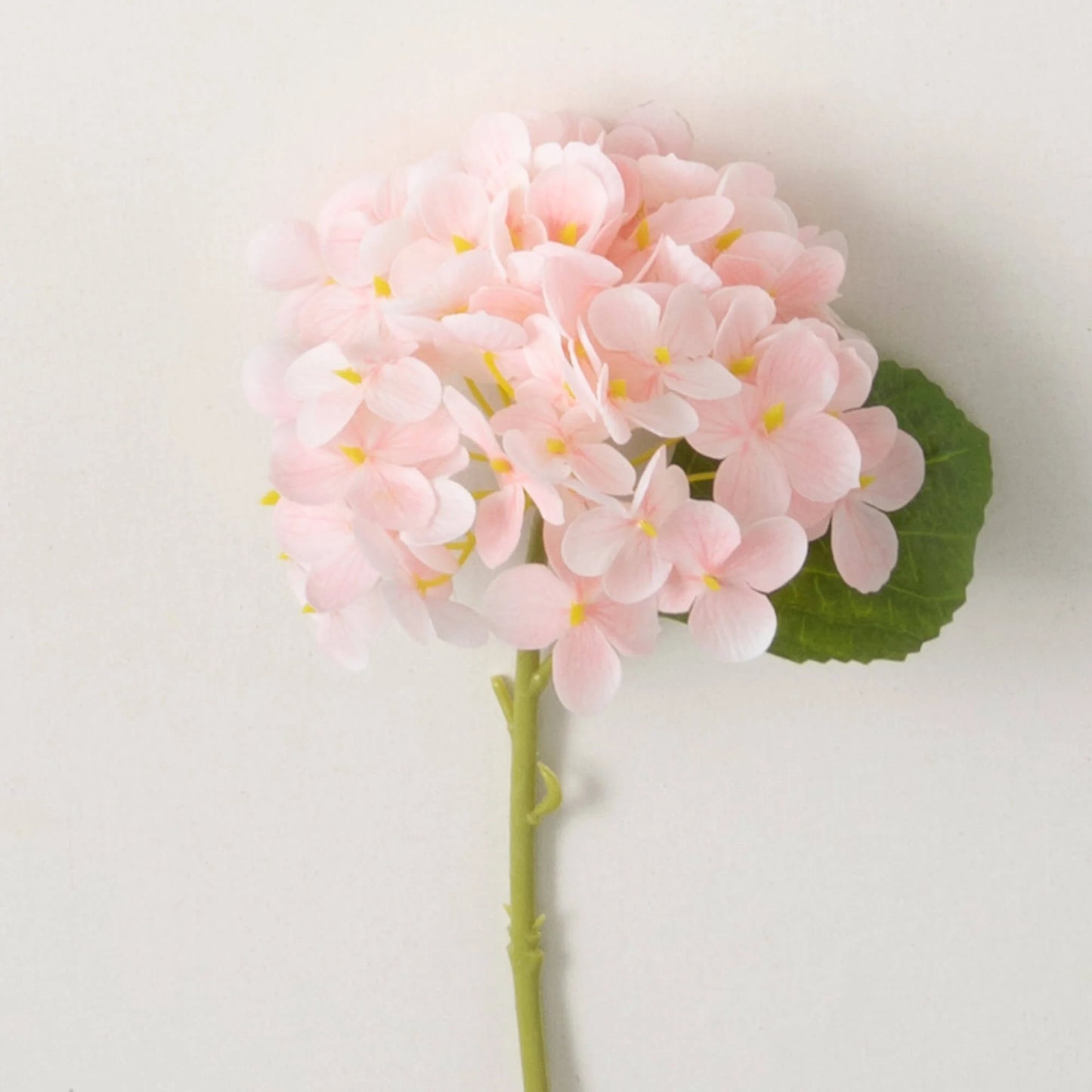 Light Pink Short Hydrangea Stem