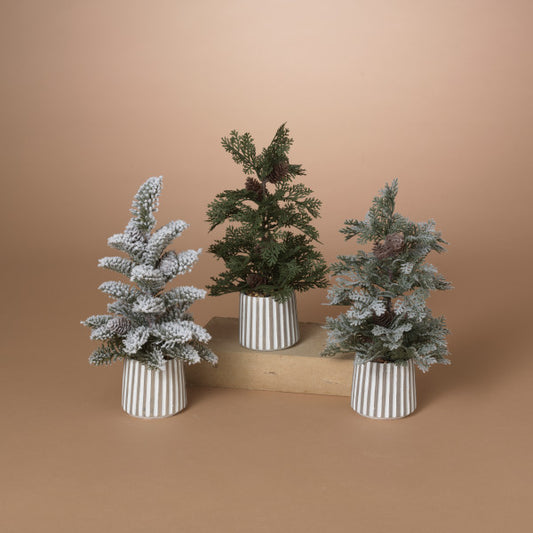 Holiday Potted Pine Tree, 3 styles