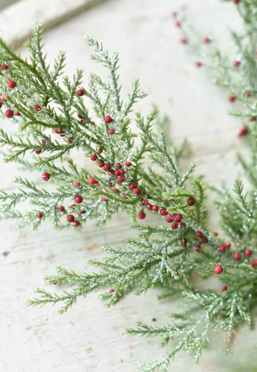 Dashing Cedar & Berry Tree