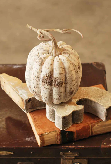 White Birch Pumpkin, Tall